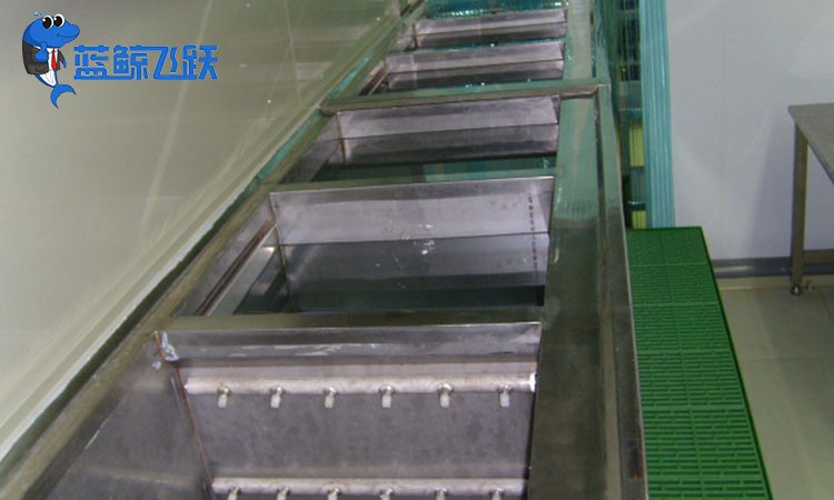 糖心TV官方网页：精密清洗新时代的独特利器