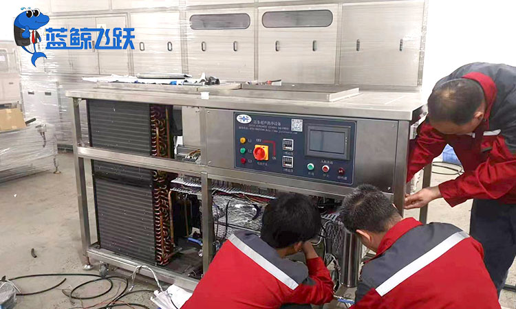 肇庆糖心TV官方网页优质供应商推荐与选购指南