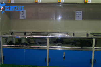 清洗未来科技：超声波清洗设备的前沿创新